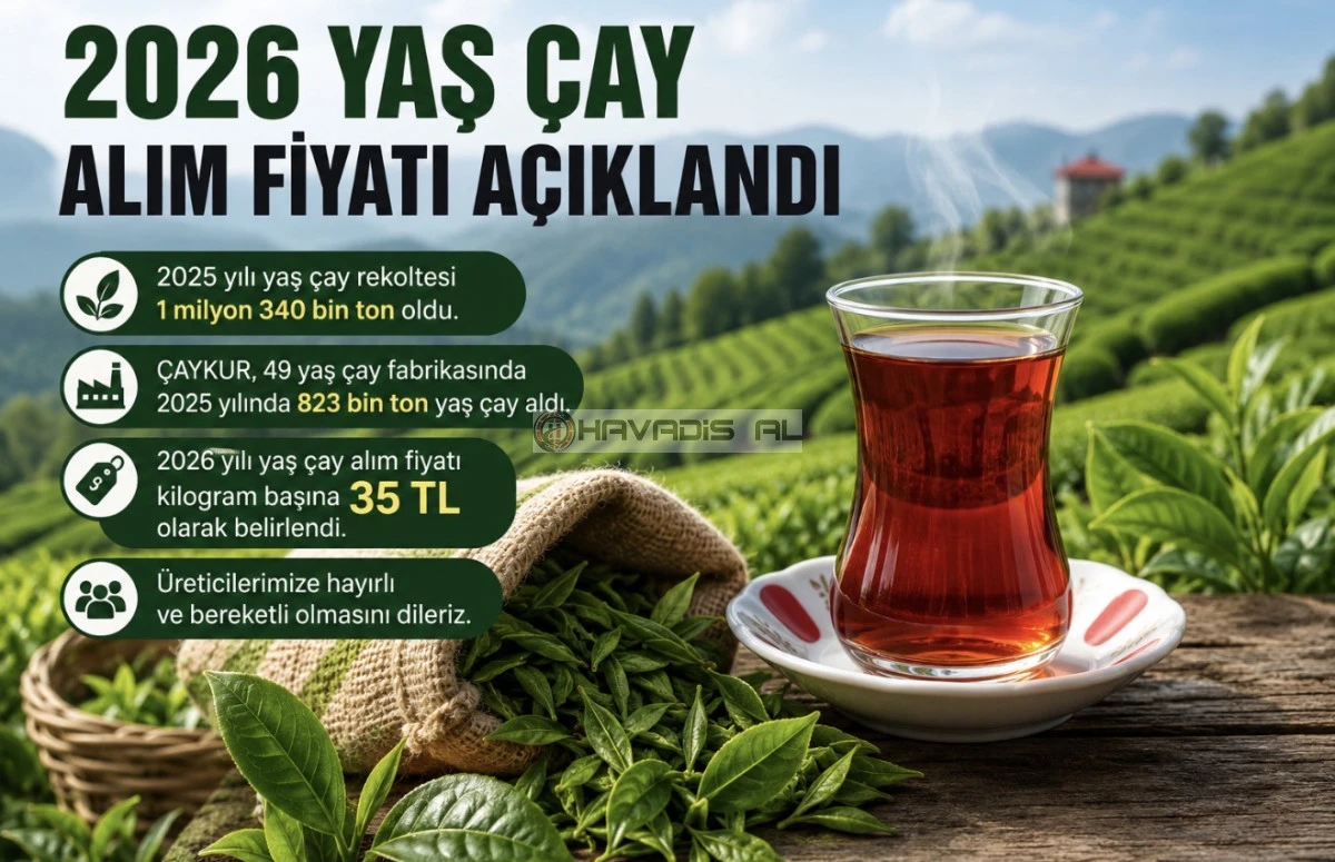 2026 Yaş &Ccedil;ay Alım Fiyatı A&ccedil;ıklandı: Kilogram Başına 35 TL